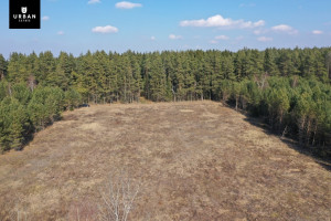 Parduodamas sklypas šalia Vaičios upelio, nuostabiame pušyne Čepurniškių k., 282 a ploto 11