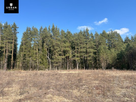 Parduodamas sklypas šalia Vaičios upelio, nuostabiame pušyne Čepurniškių k., 282 a ploto 12