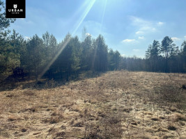 Parduodamas sklypas šalia Vaičios upelio, nuostabiame pušyne Čepurniškių k., 282 a ploto 13