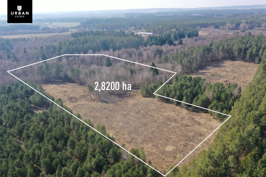 Parduodamas sklypas šalia Vaičios upelio, nuostabiame pušyne Šinkalaukio k., 2,82 hektaro 2