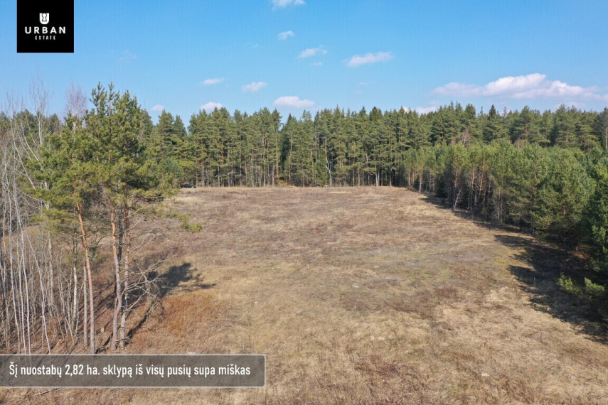 Parduodamas sklypas šalia Vaičios upelio, nuostabiame pušyne Šinkalaukio k., 2,82 hektaro 3