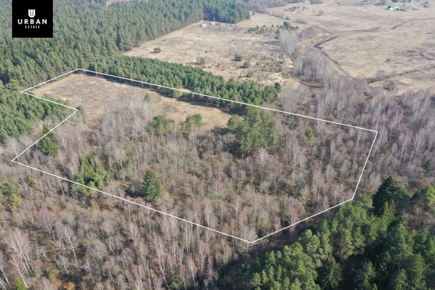 Parduodamas sklypas šalia Vaičios upelio, nuostabiame pušyne Šinkalaukio k., 2,82 hektaro 6