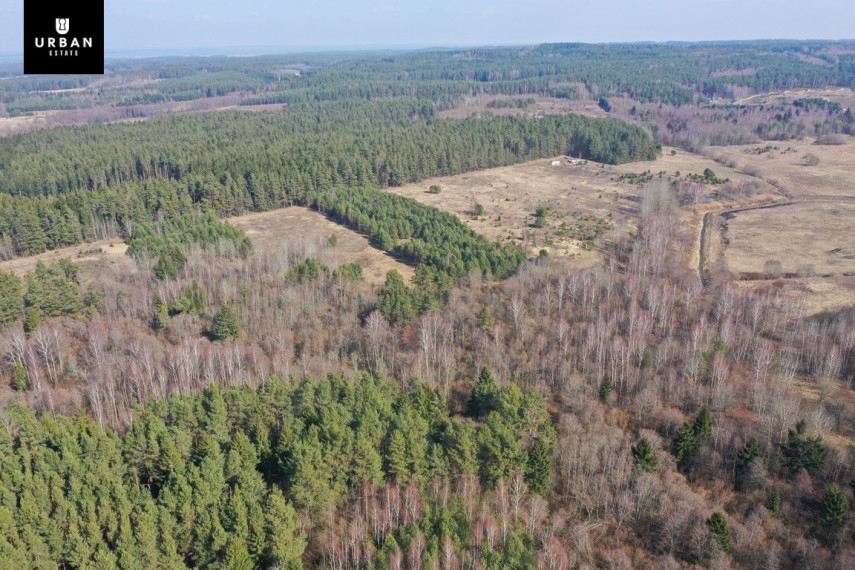 Parduodamas sklypas šalia Vaičios upelio, nuostabiame pušyne Šinkalaukio k., 2,82 hektaro 8