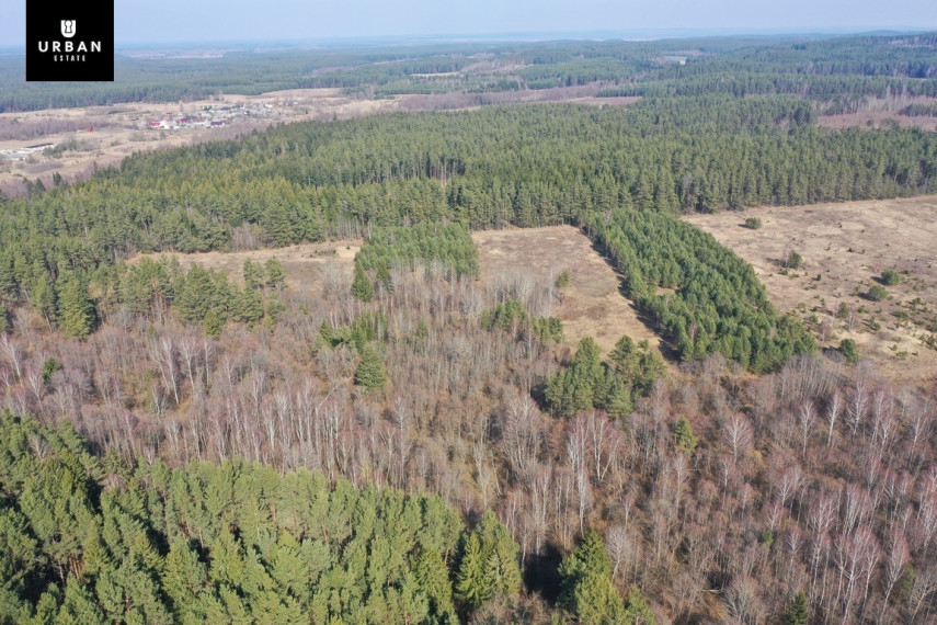 Parduodamas sklypas šalia Vaičios upelio, nuostabiame pušyne Šinkalaukio k., 2,82 hektaro 10