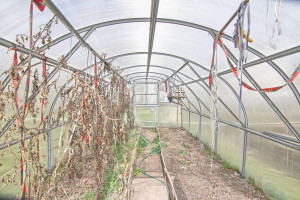 Parduodamas namas Ramunės Sodų 6-oji g., Rėkyva, Šiaulių m., Šiaulių m. sav., 82.66 m² ploto 2 kambariai 30