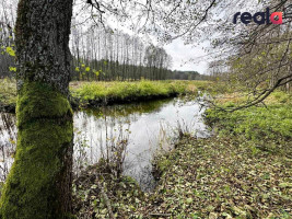Parduodamas sklypas Pačiabatų k., 115.19 a ploto 2