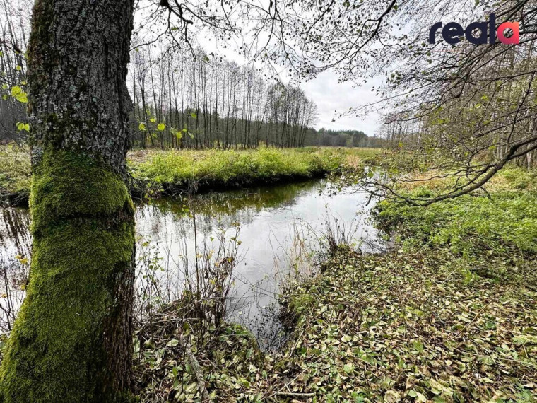 Parduodamas sklypas Pačiabatų k., 115.19 a ploto 2
