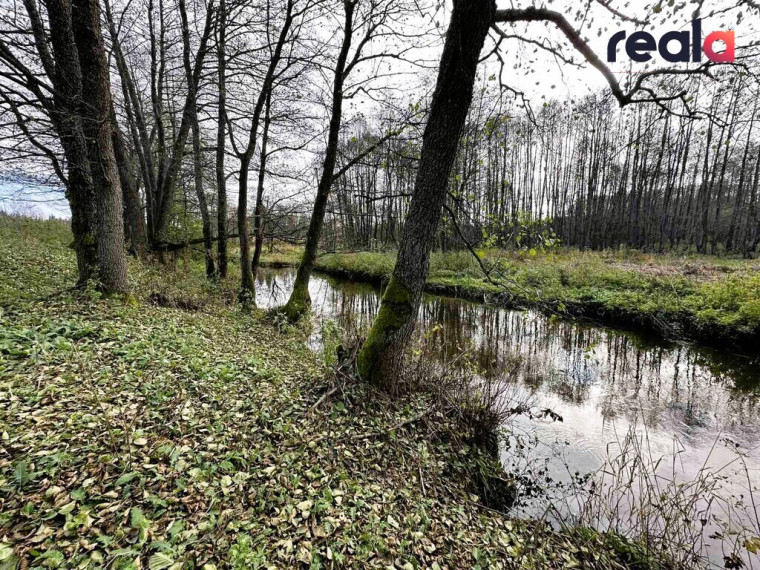 Parduodamas sklypas Pačiabatų k., 115.19 a ploto 3