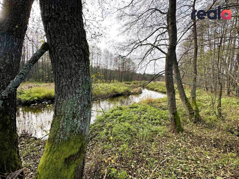 Parduodamas sklypas Pačiabatų k., 115.19 a ploto 6