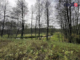 Parduodamas sklypas Pačiabatų k., 115.19 a ploto 8