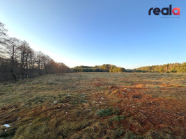 Parduodamas sklypas Pačiabatų k., 115.19 a ploto 12