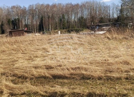 Parduodamas  sklypas Vaitelių k., Klaipėdos r. sav., 12 a ploto