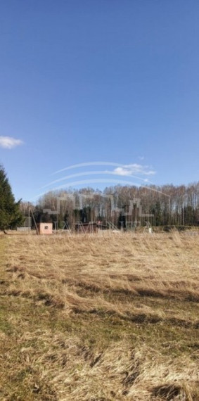Parduodamas sklypas Vaitelių k., Klaipėdos r. sav., 12 a ploto 4