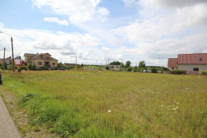 Parduodamas namų valdos paskirties sklypas Rūžos g., Aukštelkės k., Šiaulių r. sav., 25 a ploto 6