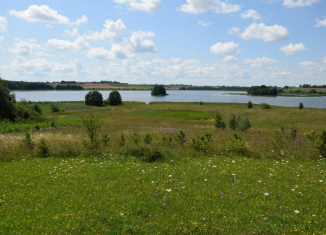 Parduodamas sklypas Aniškio g., Aniškio k., Alytaus r. sav., 547 a ploto