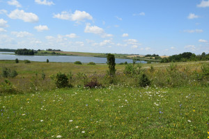 Parduodamas sklypas Aniškio g., Aniškio k., Alytaus r. sav., 547 a ploto 2