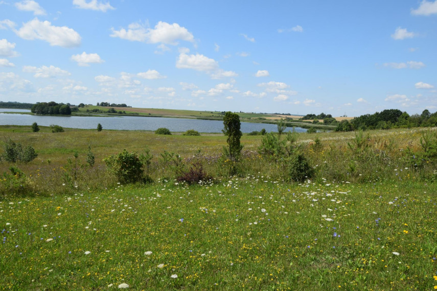 Parduodamas sklypas Aniškio g., Aniškio k., Alytaus r. sav., 547 a ploto 2