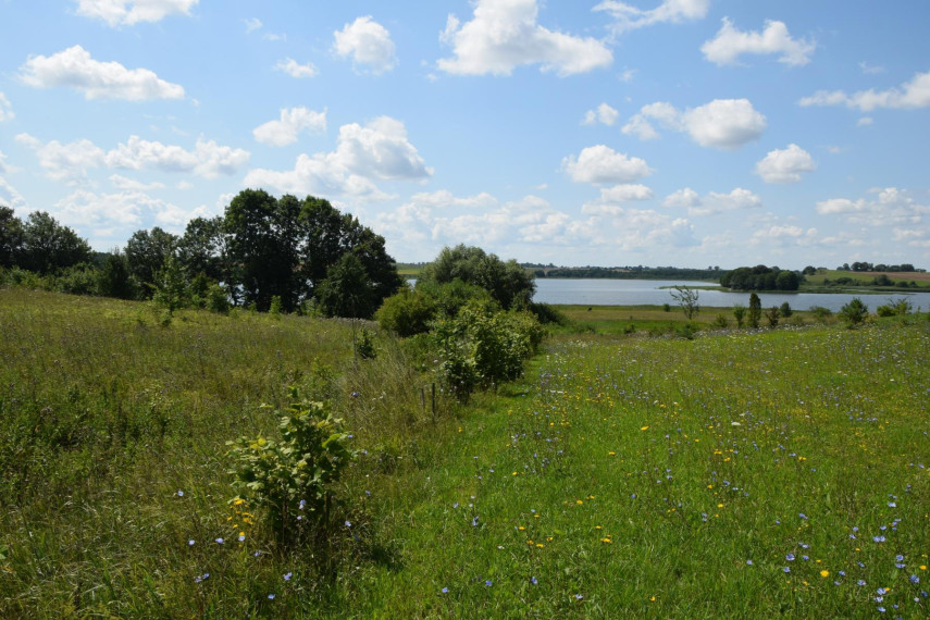 Parduodamas sklypas Aniškio g., Aniškio k., Alytaus r. sav., 547 a ploto 4