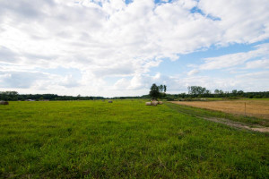 Parduodamas sklypas Ryto g., Arminų I k., Alytaus r. sav., 20 a ploto 3