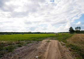 Parduodamas sklypas Ryto g., Arminų I k., Alytaus r. sav., 20 a ploto 5
