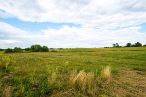 Parduodamas sklypas Lankų g., Alytaus k., Alytaus r. sav., 24 a ploto 2