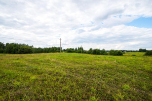 Parduodamas sklypas Lankų g., Alytaus k., Alytaus r. sav., 24 a ploto 3