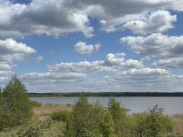 Parduodamas namų valdos paskirties sklypas Pavandenės k., Molėtų r. sav., 99.07 a ploto 1