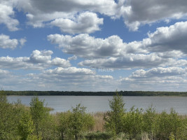 Parduodamas namų valdos paskirties sklypas Pavandenės k., Molėtų r. sav., 99.07 a ploto 2