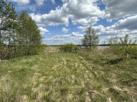 Parduodamas namų valdos paskirties sklypas Pavandenės k., Molėtų r. sav., 99.07 a ploto 4