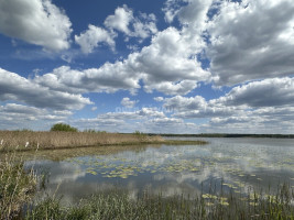 Parduodamas namų valdos paskirties sklypas Pavandenės k., Molėtų r. sav., 99.07 a ploto 5