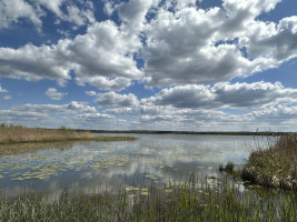 Parduodamas namų valdos paskirties sklypas Pavandenės k., Molėtų r. sav., 99.07 a ploto 6