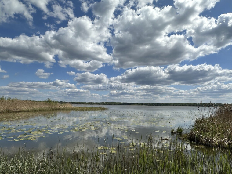Parduodamas namų valdos paskirties sklypas Pavandenės k., Molėtų r. sav., 99.07 a ploto 6