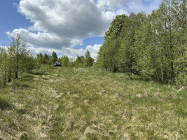 Parduodamas namų valdos paskirties sklypas Pavandenės k., Molėtų r. sav., 99.07 a ploto 7