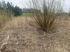 Parduodamas  sklypas Lėbartų k., Klaipėdos r. sav., 59 a ploto 6