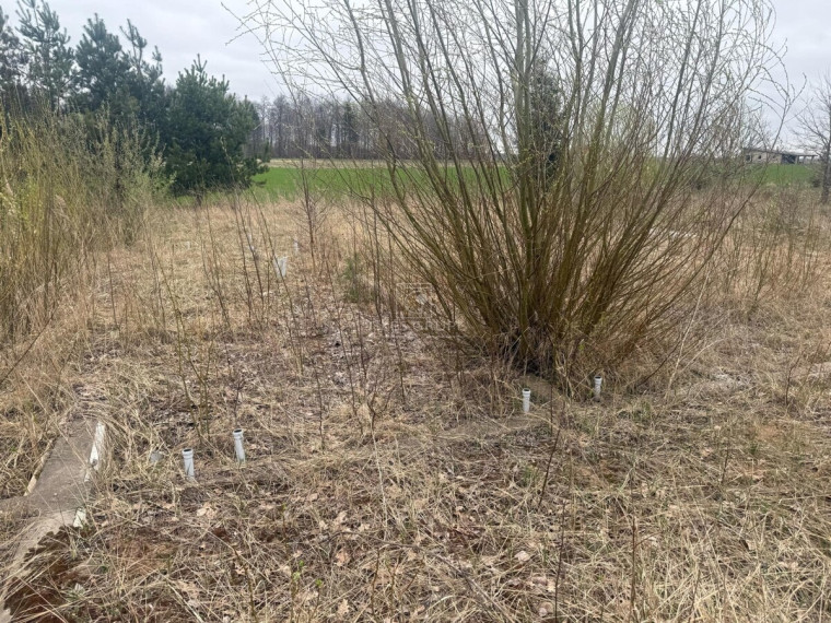 Parduodamas sklypas Lėbartų k., Klaipėdos r. sav., 59 a ploto 6