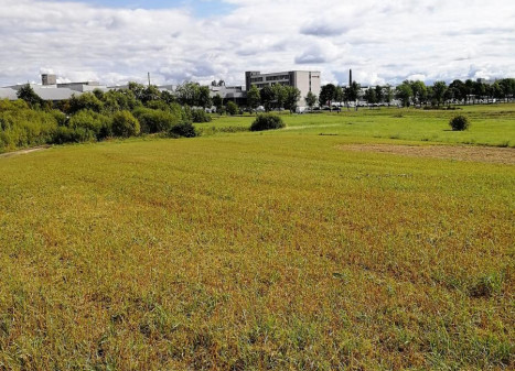 Parduodamas sklypas Šiltnamių g., Miklusėnų k., Alytaus r. sav., 20.00 a ploto