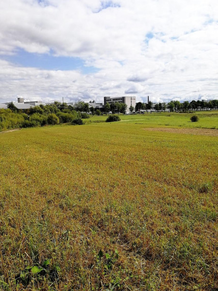 Parduodamas sklypas Šiltnamių g., Miklusėnų k., Alytaus r. sav., 20.00 a ploto 1