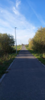 Parduodamas sklypas Šiltnamių g., Miklusėnų k., Alytaus r. sav., 20.00 a ploto 2