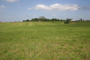 Parduodamas sklypas Kauno g., Miklusėnų k., Alytaus r. sav., 96 a ploto 1