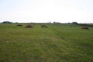 Parduodamas sklypas Kauno g., Miklusėnų k., Alytaus r. sav., 96 a ploto 2