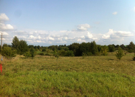 Parduodamas sklypas Alytaus g., Daugų m., Alytaus r. sav., 20 a ploto