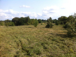 Parduodamas sklypas Alytaus g., Daugų m., Alytaus r. sav., 20 a ploto 3