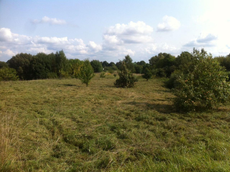 Parduodamas sklypas Alytaus g., Daugų m., Alytaus r. sav., 20 a ploto 4