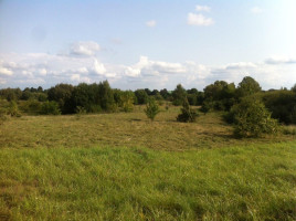 Parduodamas sklypas Alytaus g., Daugų m., Alytaus r. sav., 20 a ploto 6