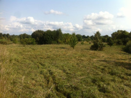 Parduodamas sklypas Alytaus g., Daugų m., Alytaus r. sav., 20 a ploto 7