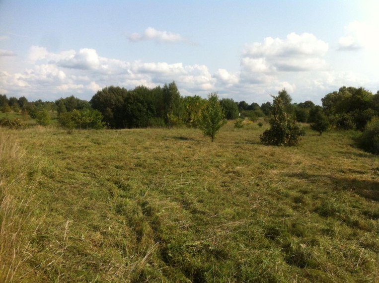 Parduodamas sklypas Alytaus g., Daugų m., Alytaus r. sav., 20 a ploto 7