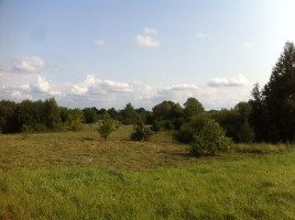 Parduodamas sklypas Alytaus g., Daugų m., Alytaus r. sav., 20 a ploto 8