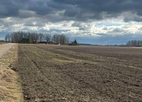 Parduodamas sklypas Kaimynų g., Stetiškių k., 12.32 a ploto