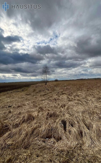 Parduodamas sklypas Kaimynų g., Stetiškių k., 12.32 a ploto 2