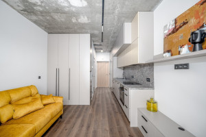 Parduodamas butas Paribio g., Žvėrynas, Vilniaus m., Vilniaus m. sav., 22.15 m2 ploto, 1 kambariai 5